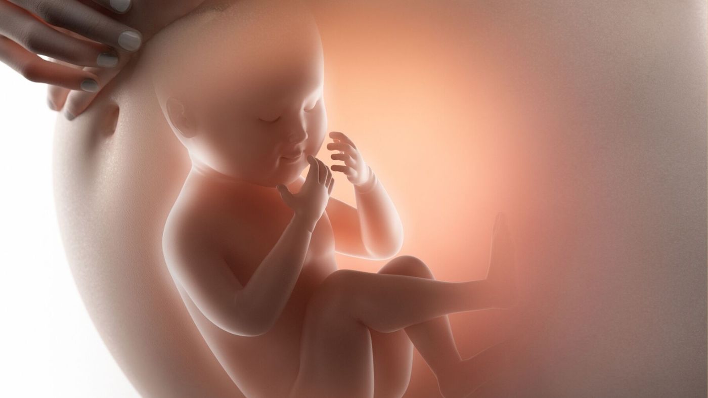 mouvements-du-bébé-in-utero