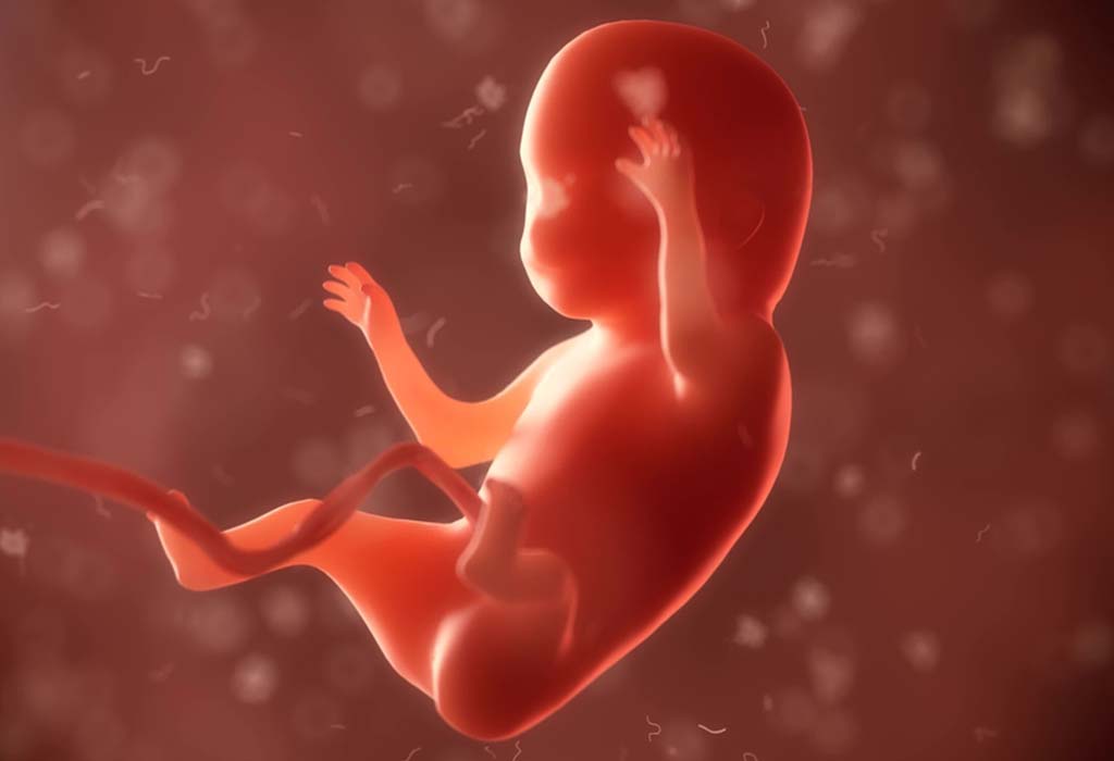 placenta-bas-grossesse